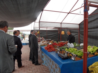 Tam boy resmi görebilmek için tıklayın